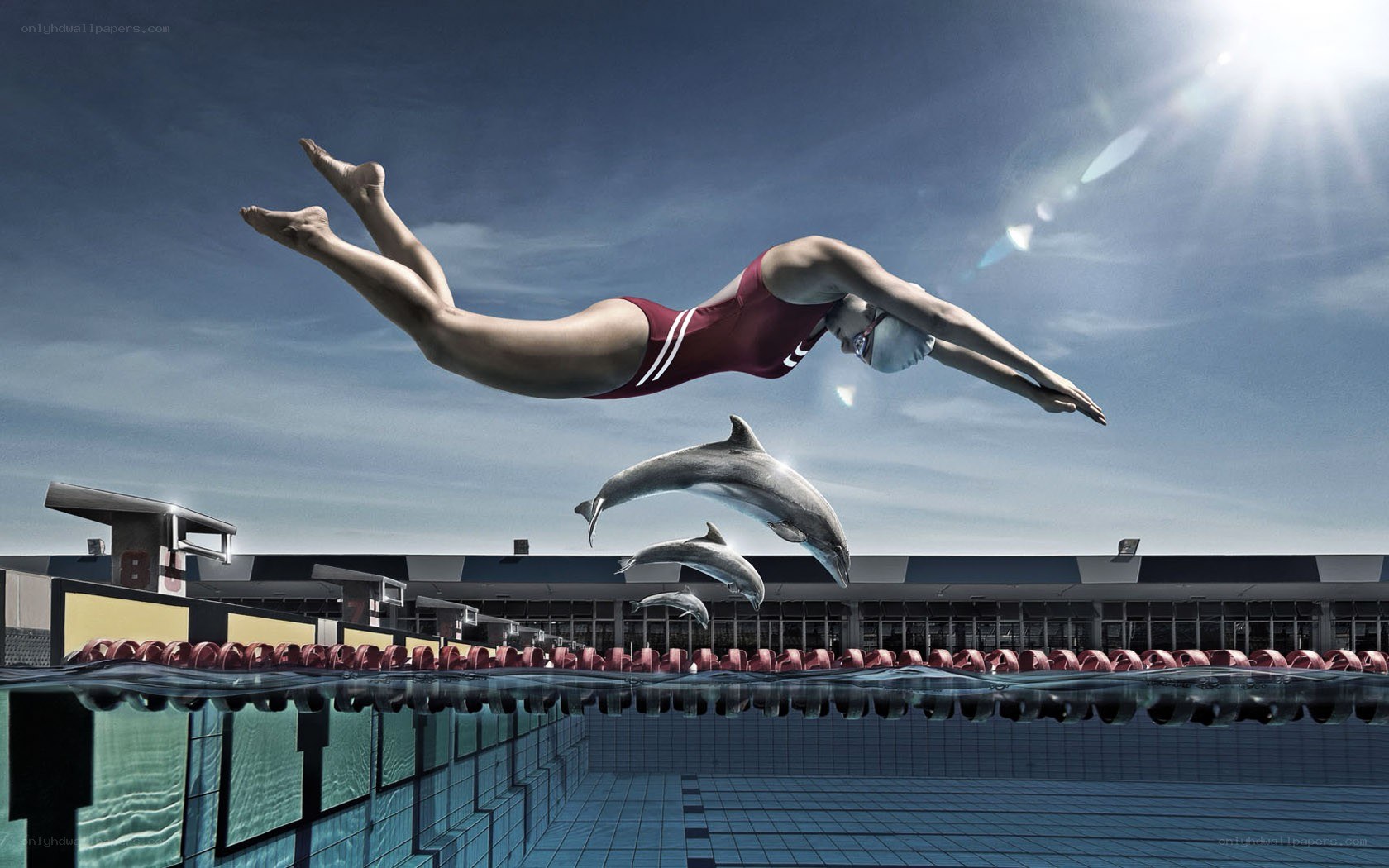 swimmer and dolphins in pool