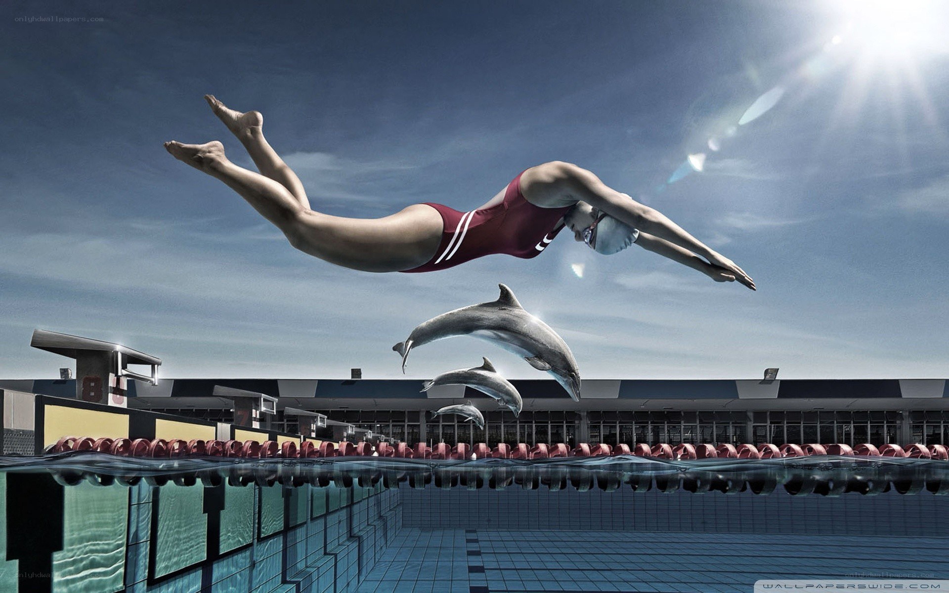 swimmer and dolphins in pool