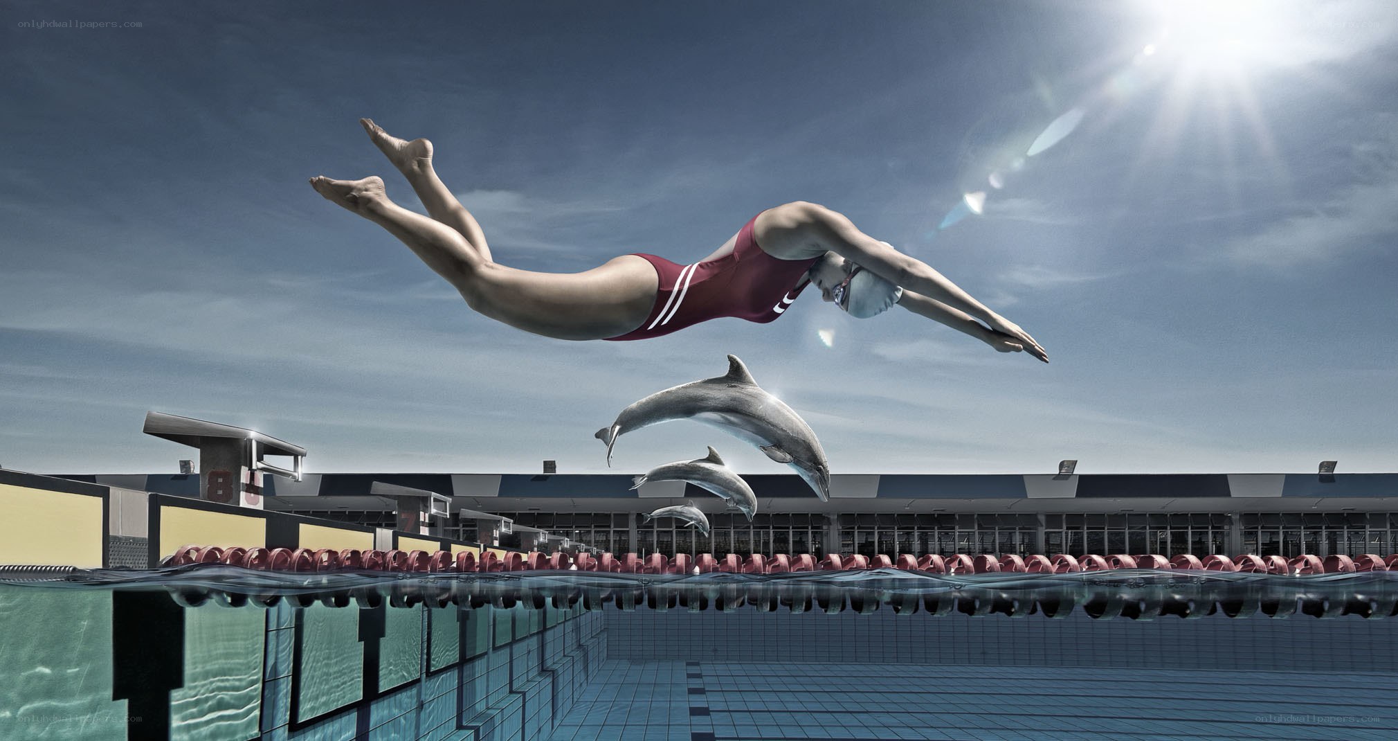 Swimmer and dolphins in pool