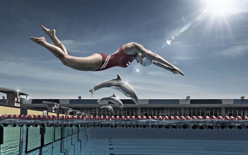Swimmer and Dolphins