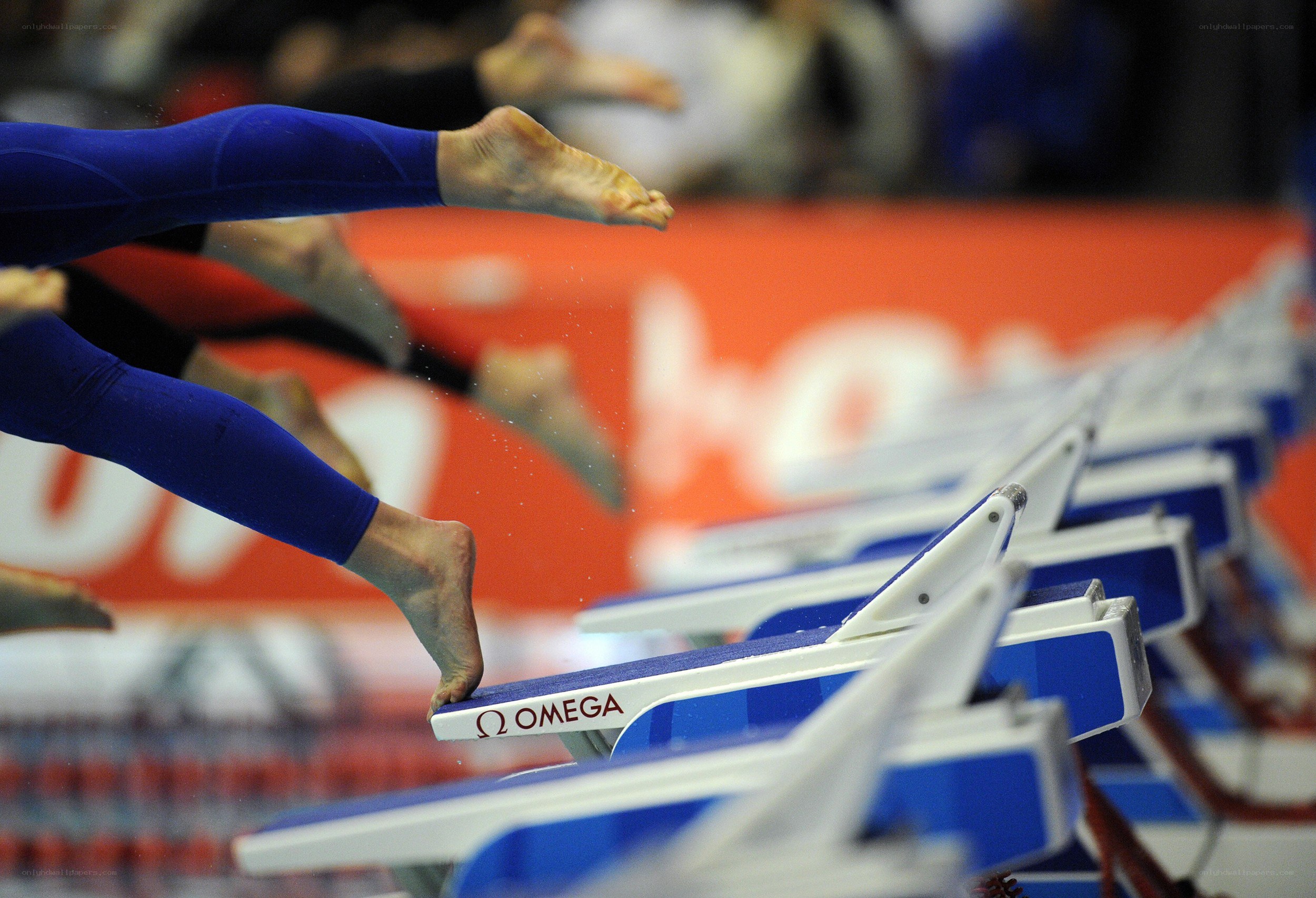 swimmers diving from starting blocks