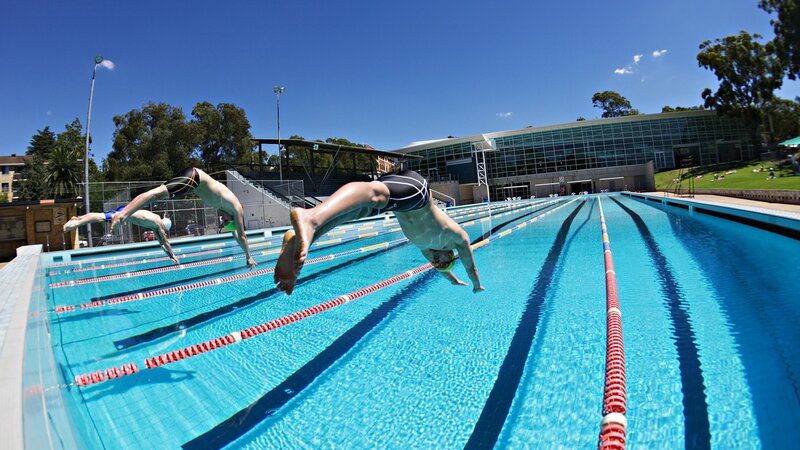 Swimmers diving into pool