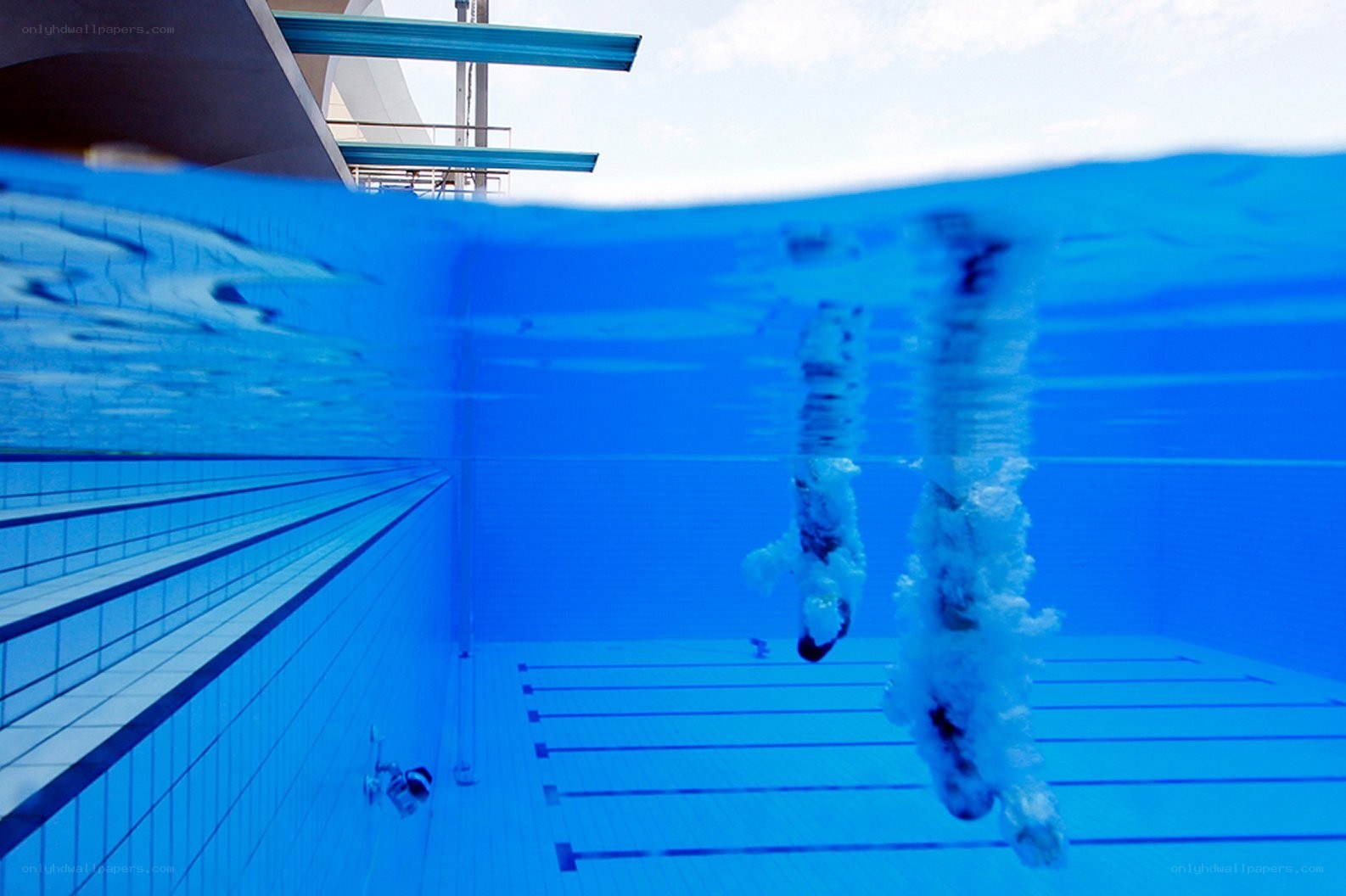 swimmers diving underwater