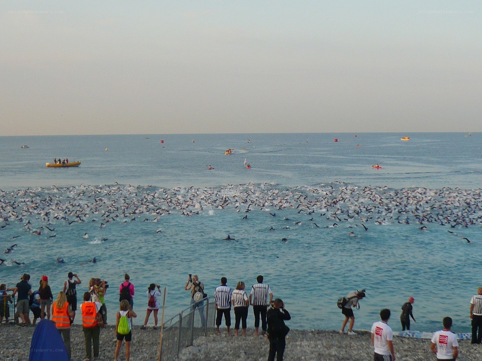 Swimmers in open water race