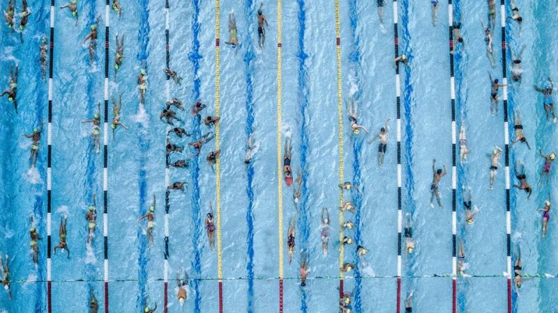 Swimmers in Pool Lanes — Blue
