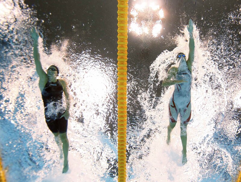 Swimmers in pool lanes