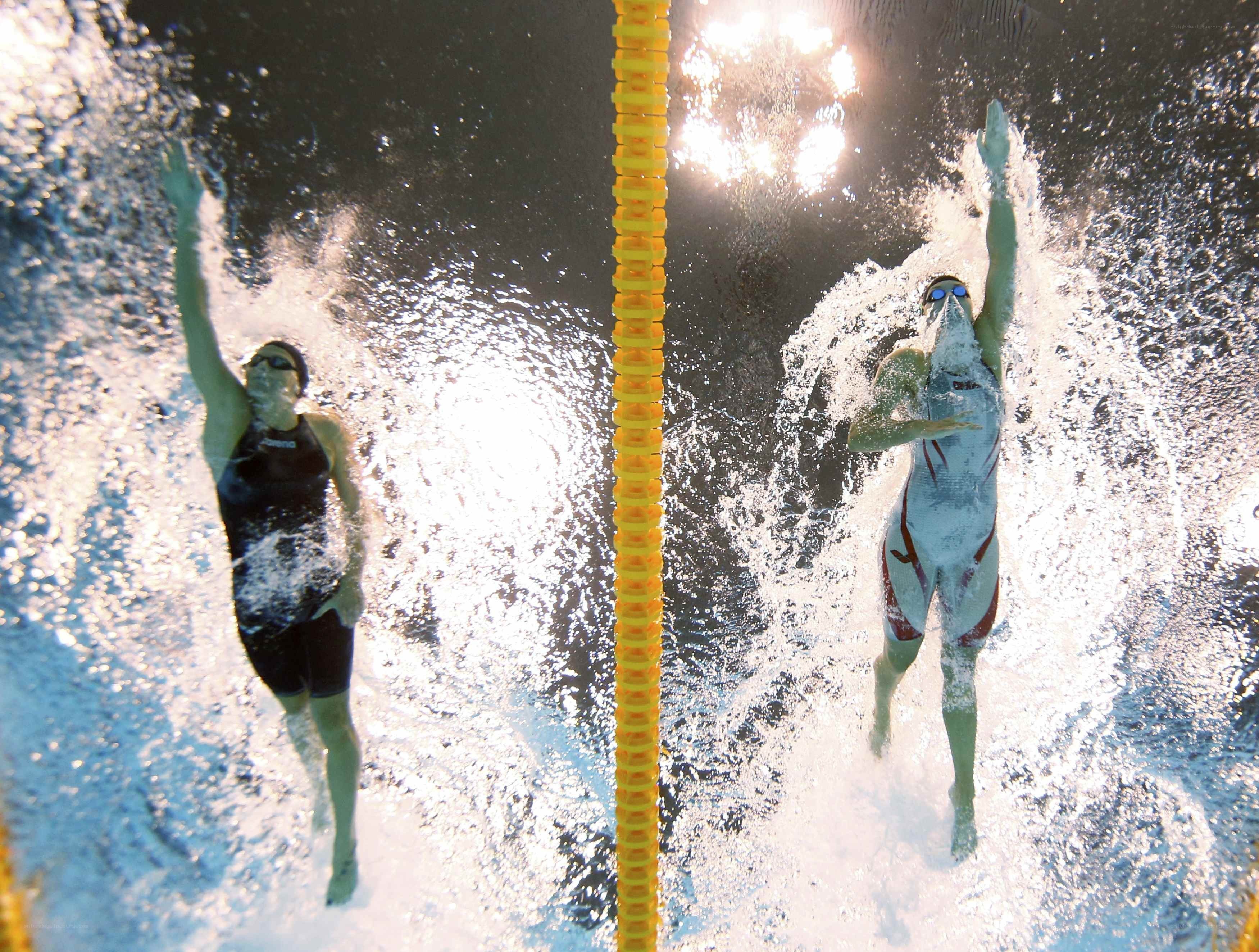 Swimmers in pool lanes