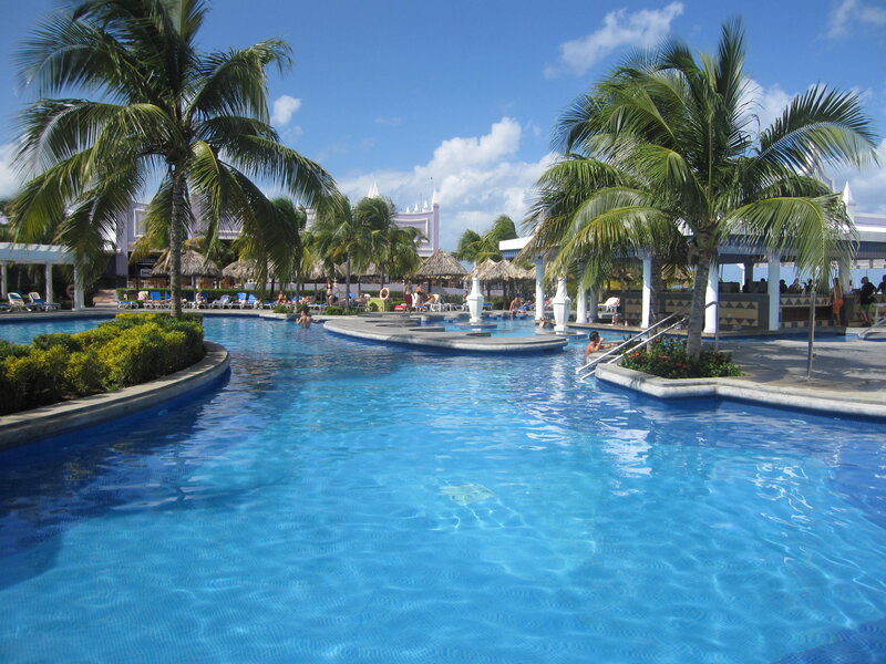 Swimming Pool with Palm Trees