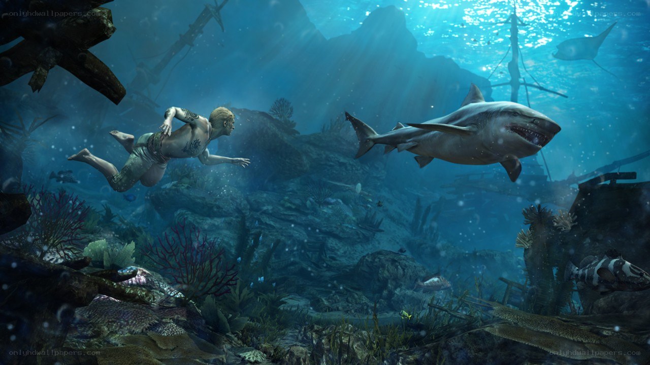swimming with a shark underwater