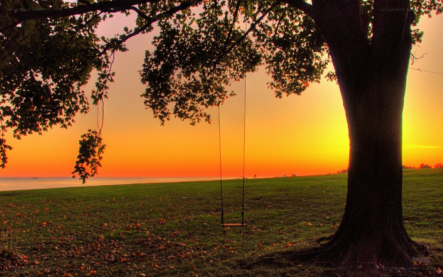Swing at sunset by the water