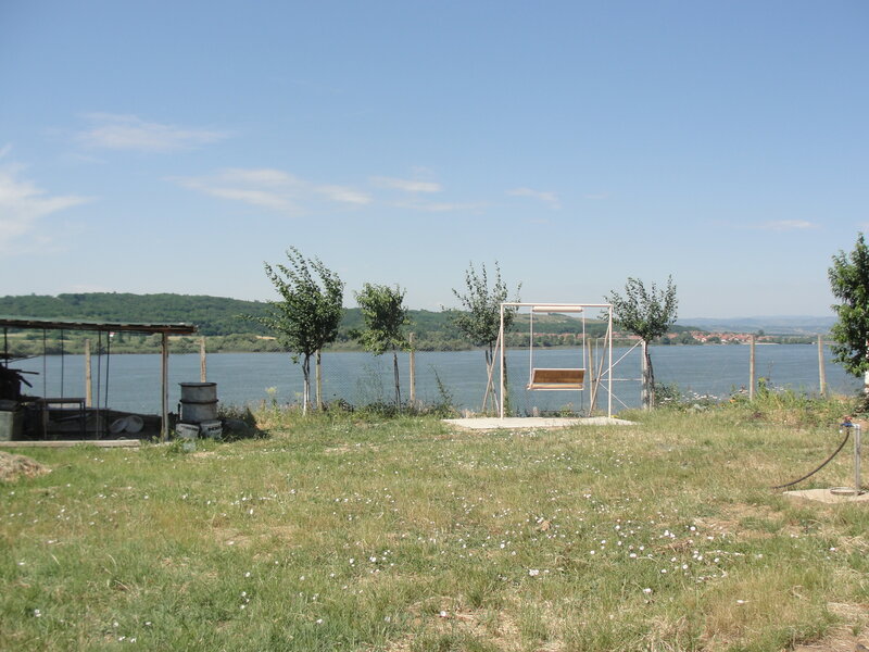 Swing by Lake