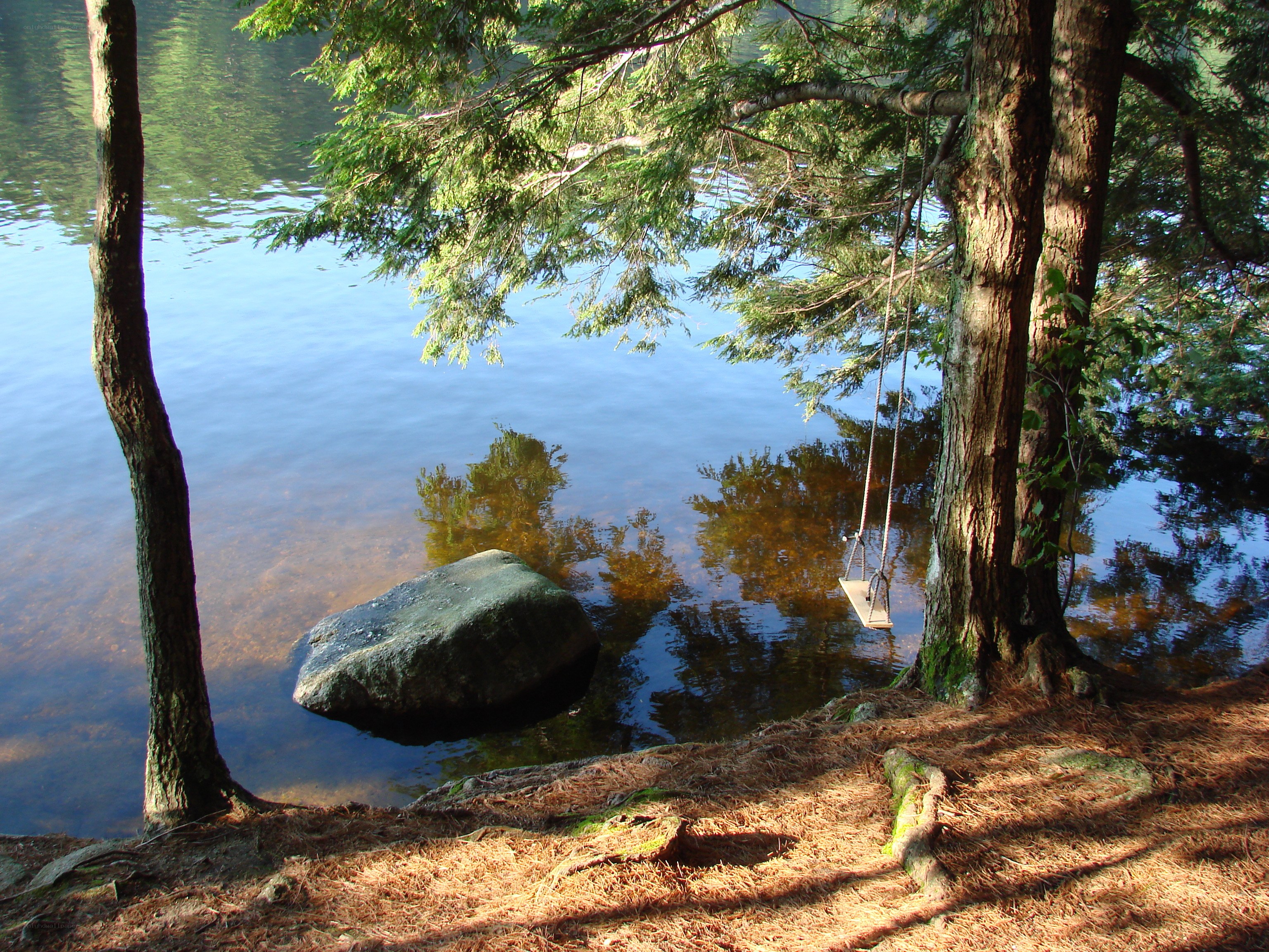 Swing by the lakeside