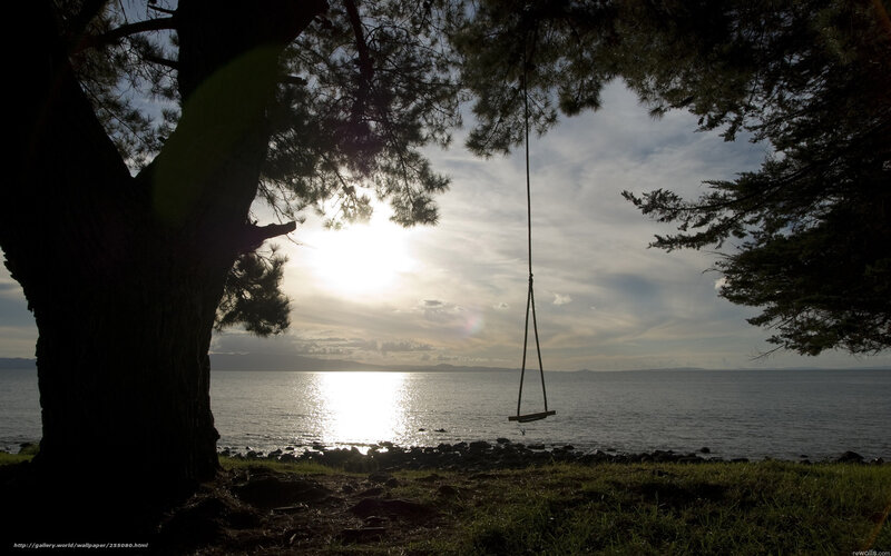 Swing Hanging from Tree — Green