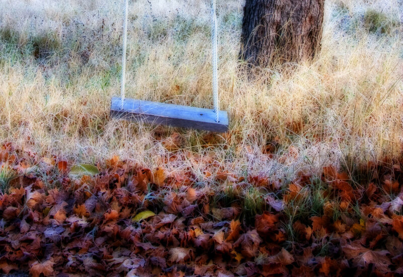 Swing in Autumn Grass