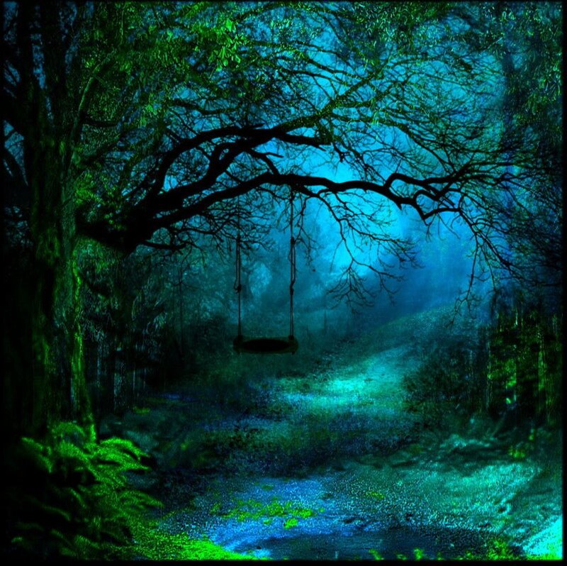 Swing in Forest