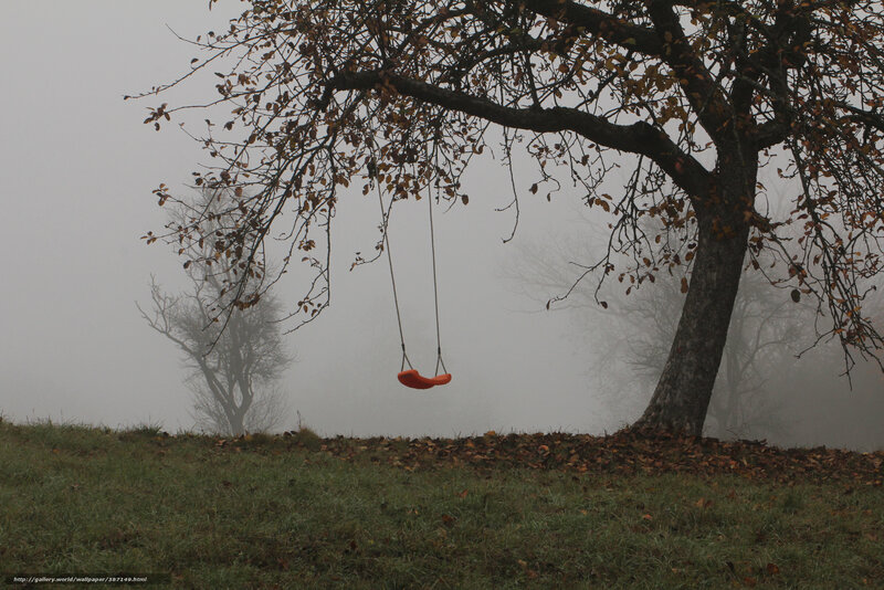 Swing in the misty forest