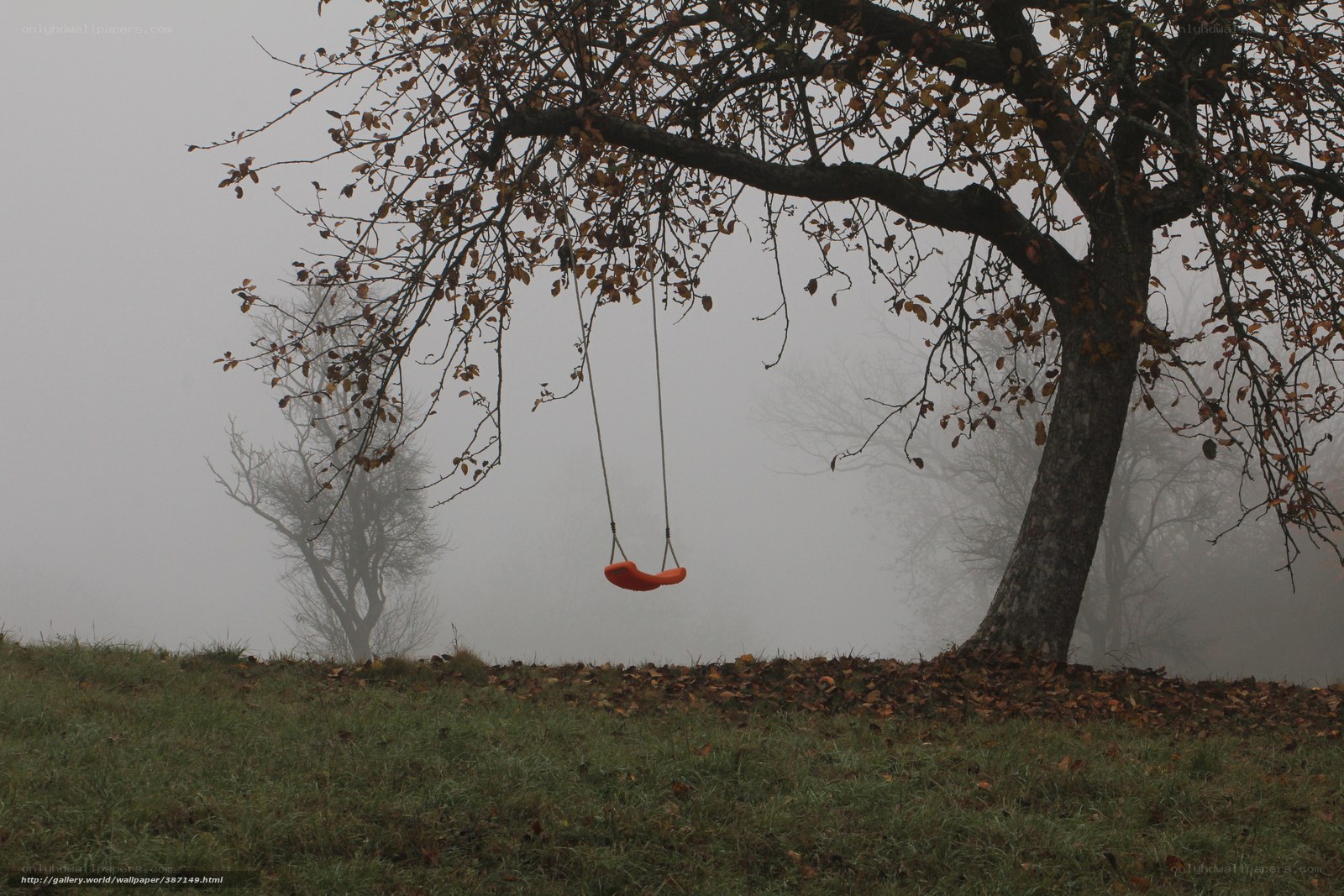 Swing in the misty forest