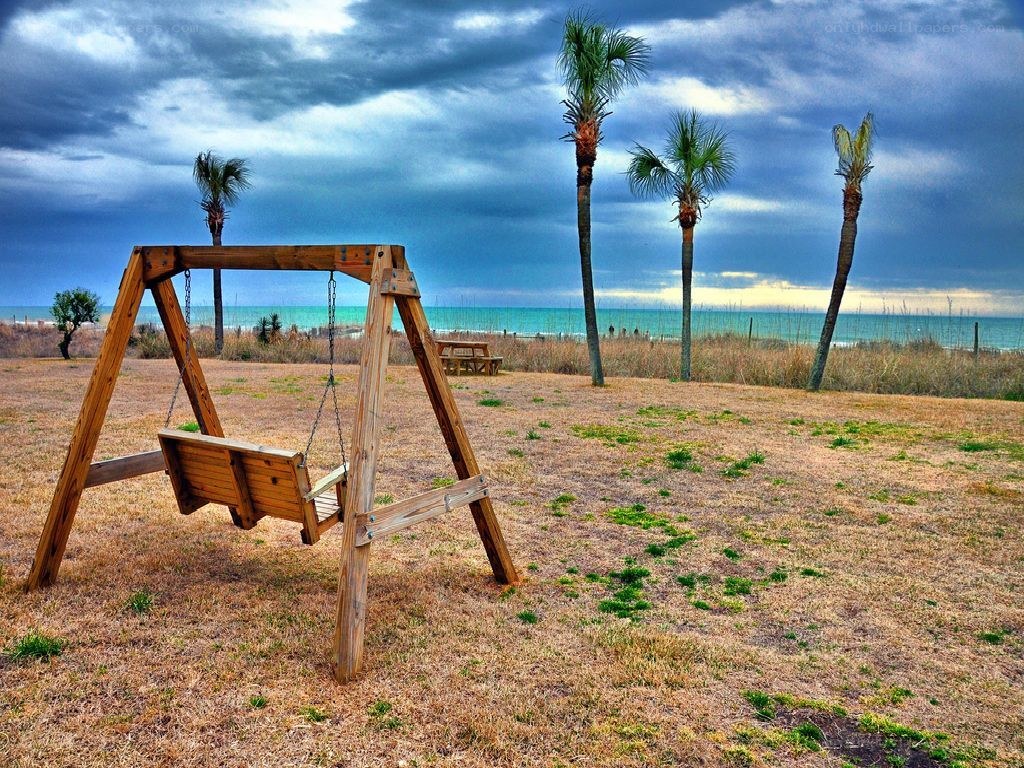 Swing on a beach with palm trees