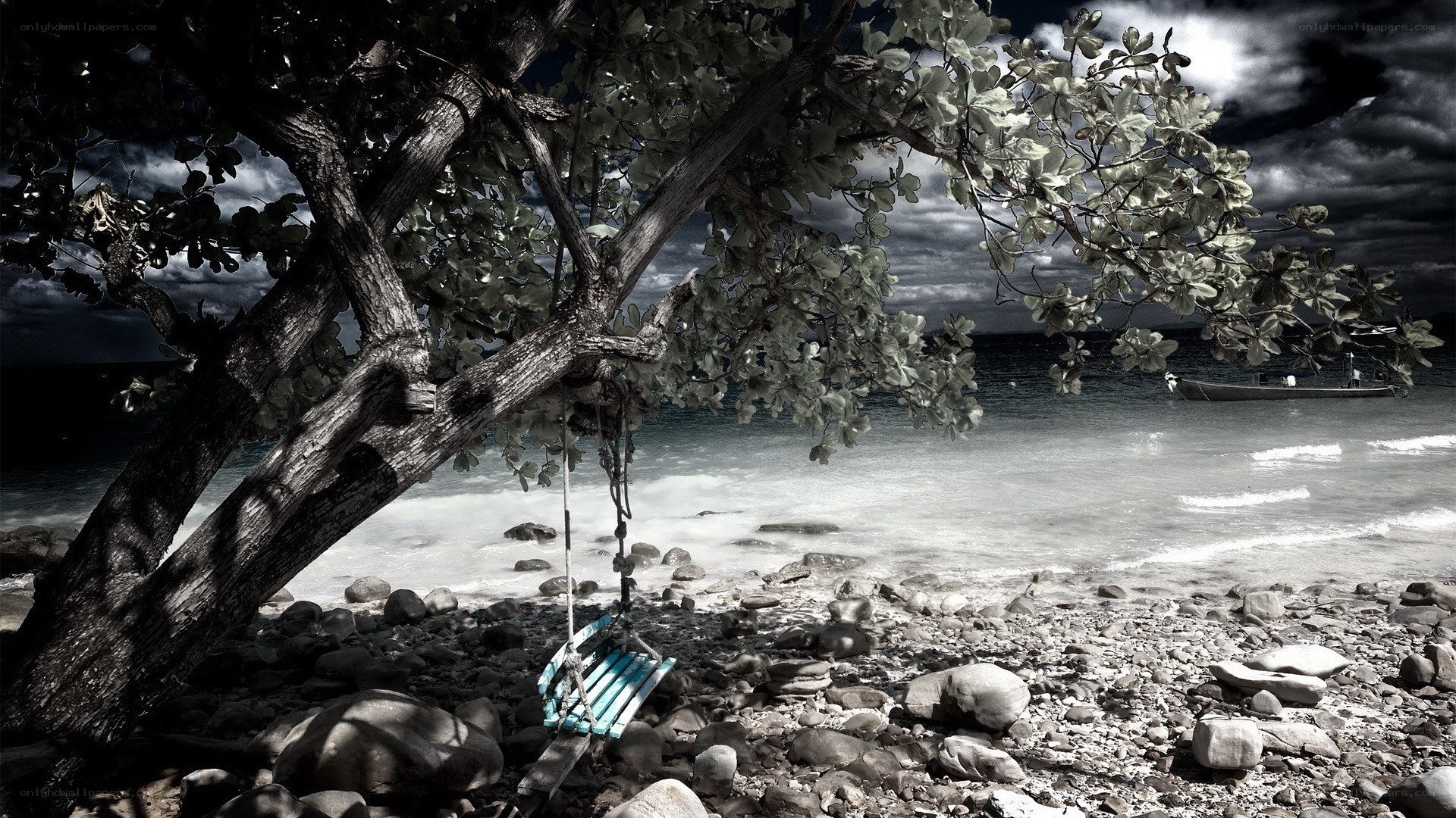 Swing on a rocky beach