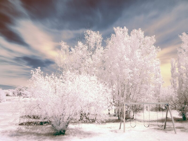 Swing Set in Snowy Field