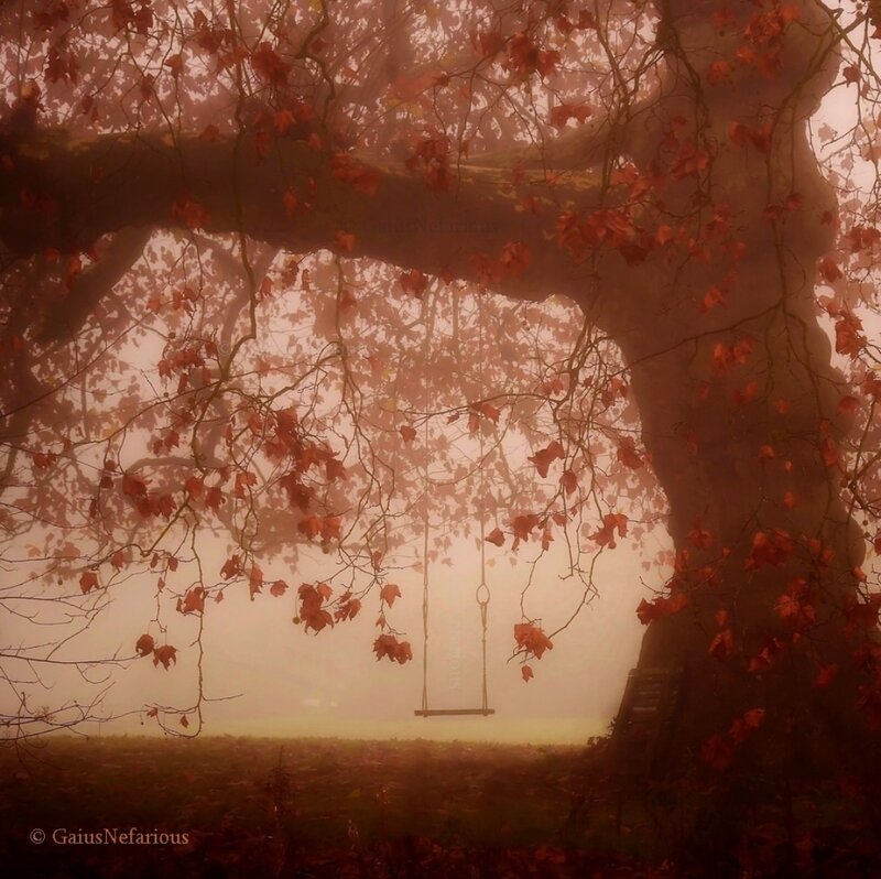Swing under Tree — Red