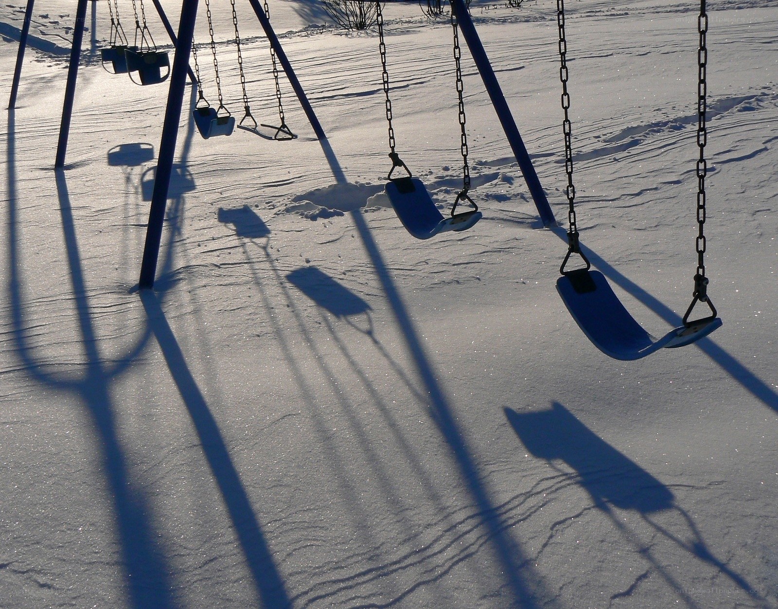 Swings in the snow