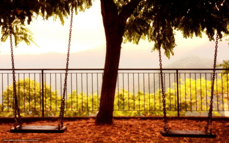 Swings under a tree at sunset
