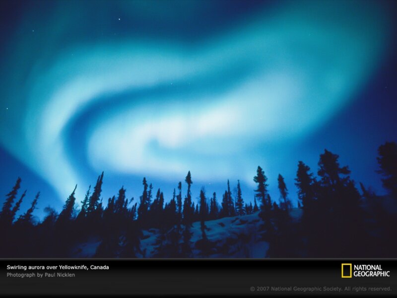 Swirling Aurora over Trees