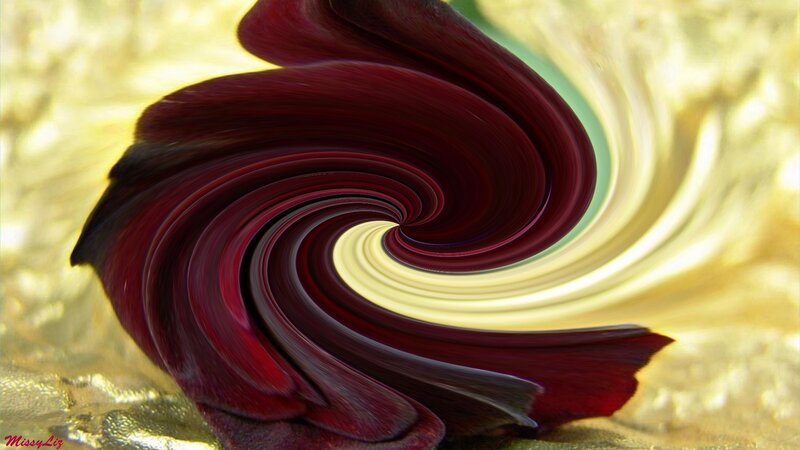 Swirling Red and Gold Pattern