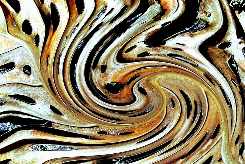Swirling Wood Texture