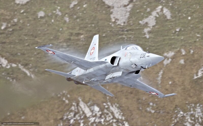 Swiss Air Force Jet — Gray, Dynamic, Photograph