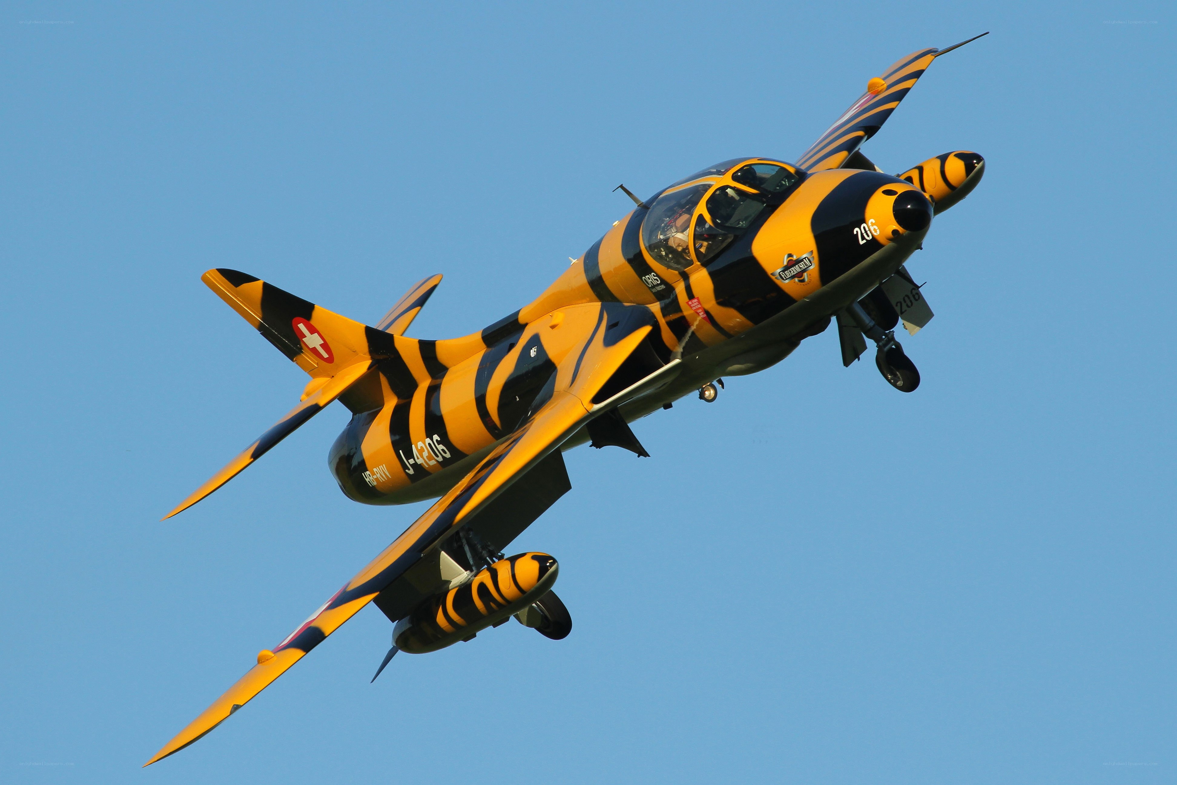 Swiss Air Force jet in flight