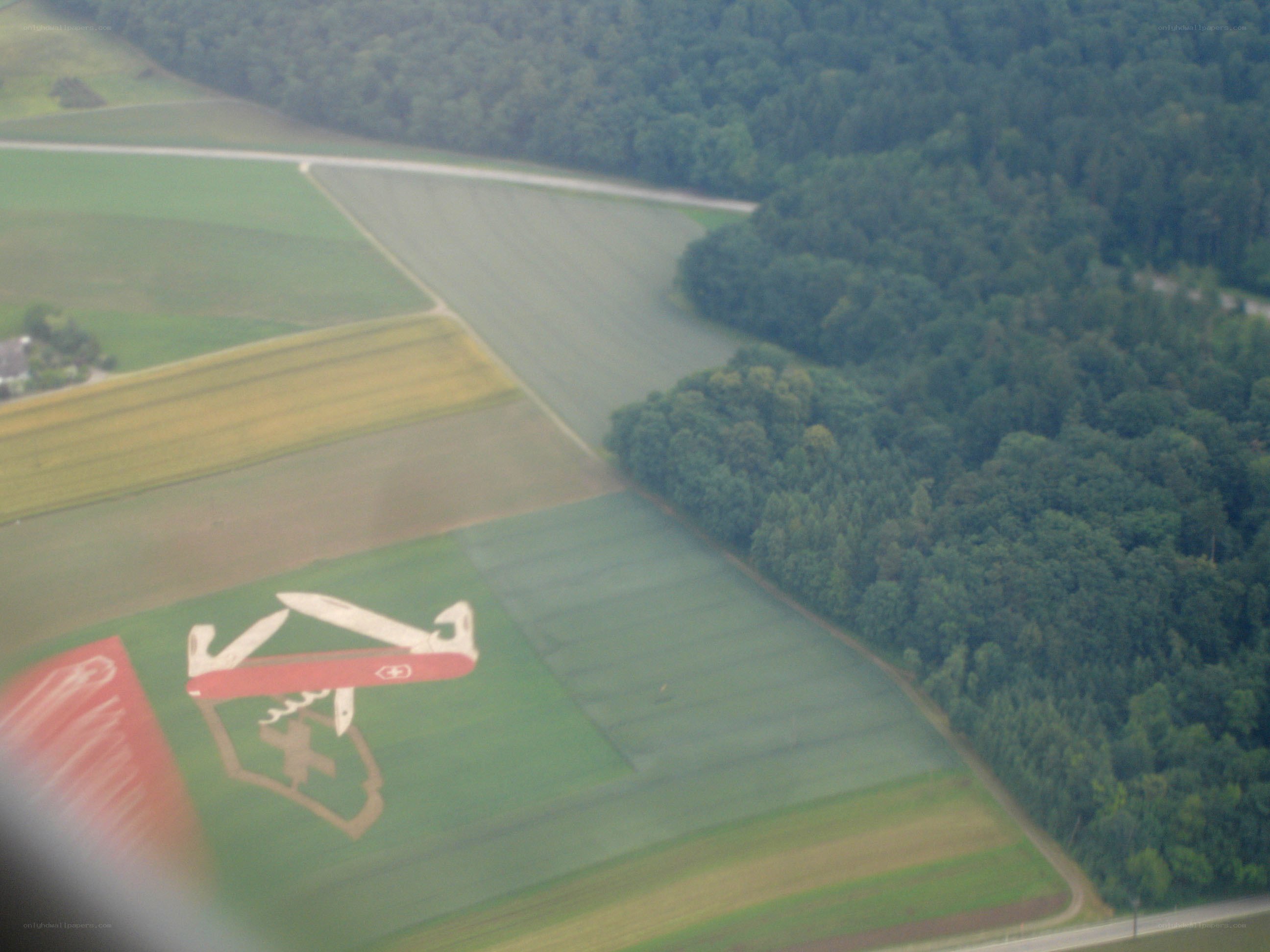 Swiss Army Knife field art