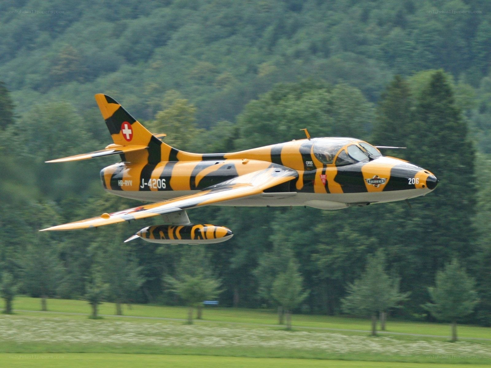 Swiss jet in tiger livery