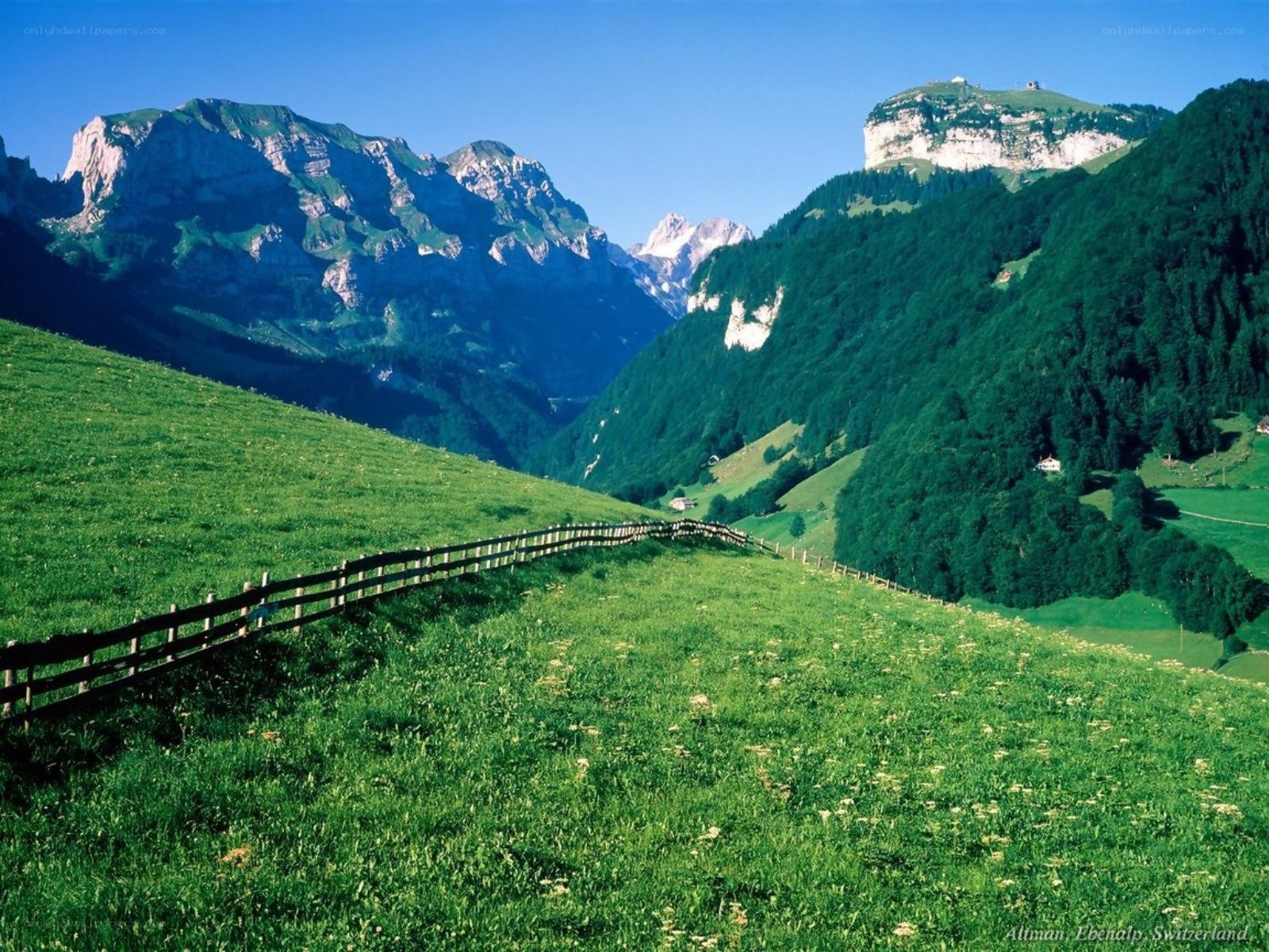 Swiss mountain valley landscape
