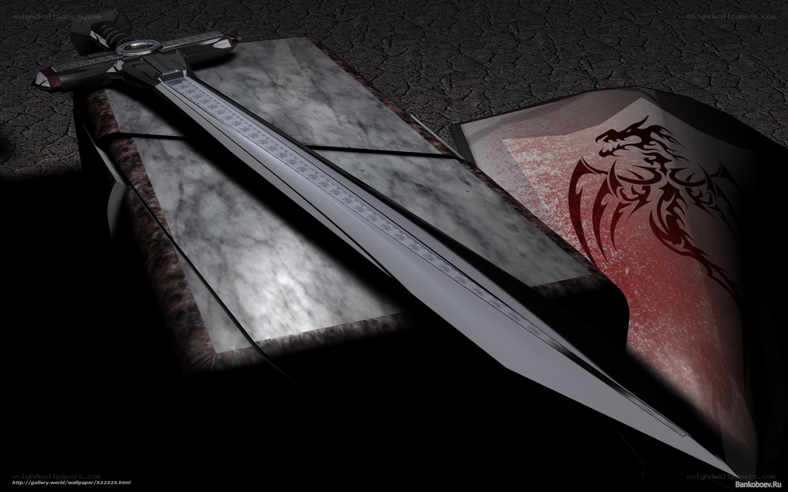 sword and shield with dragon emblem