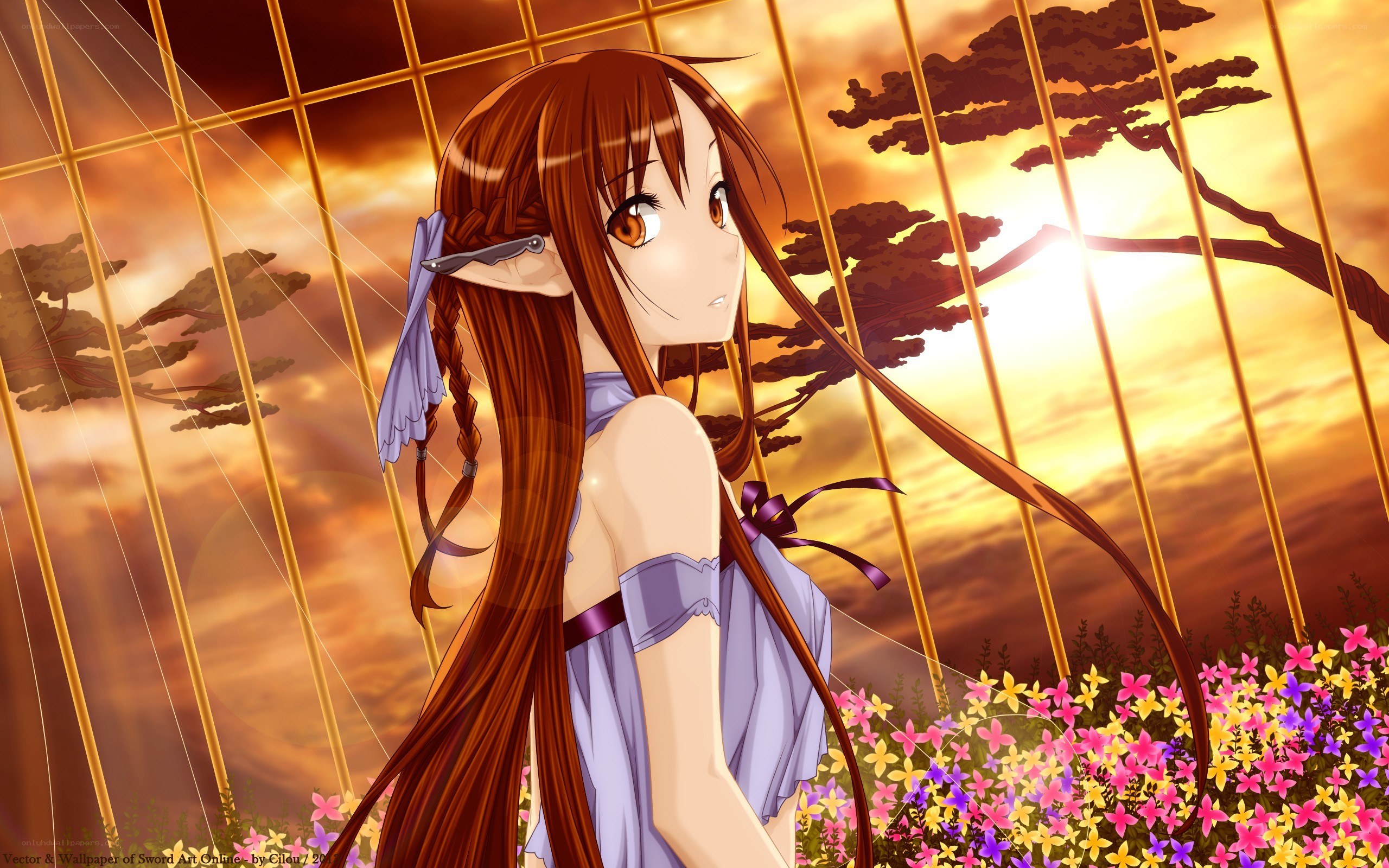 Sword Art Online character at sunset