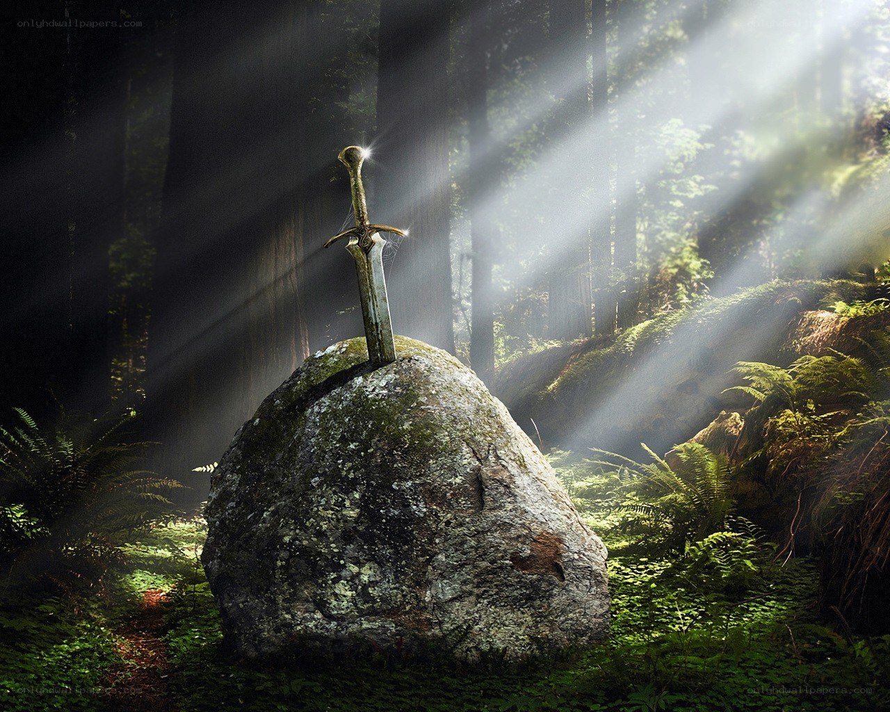 sword in the stone