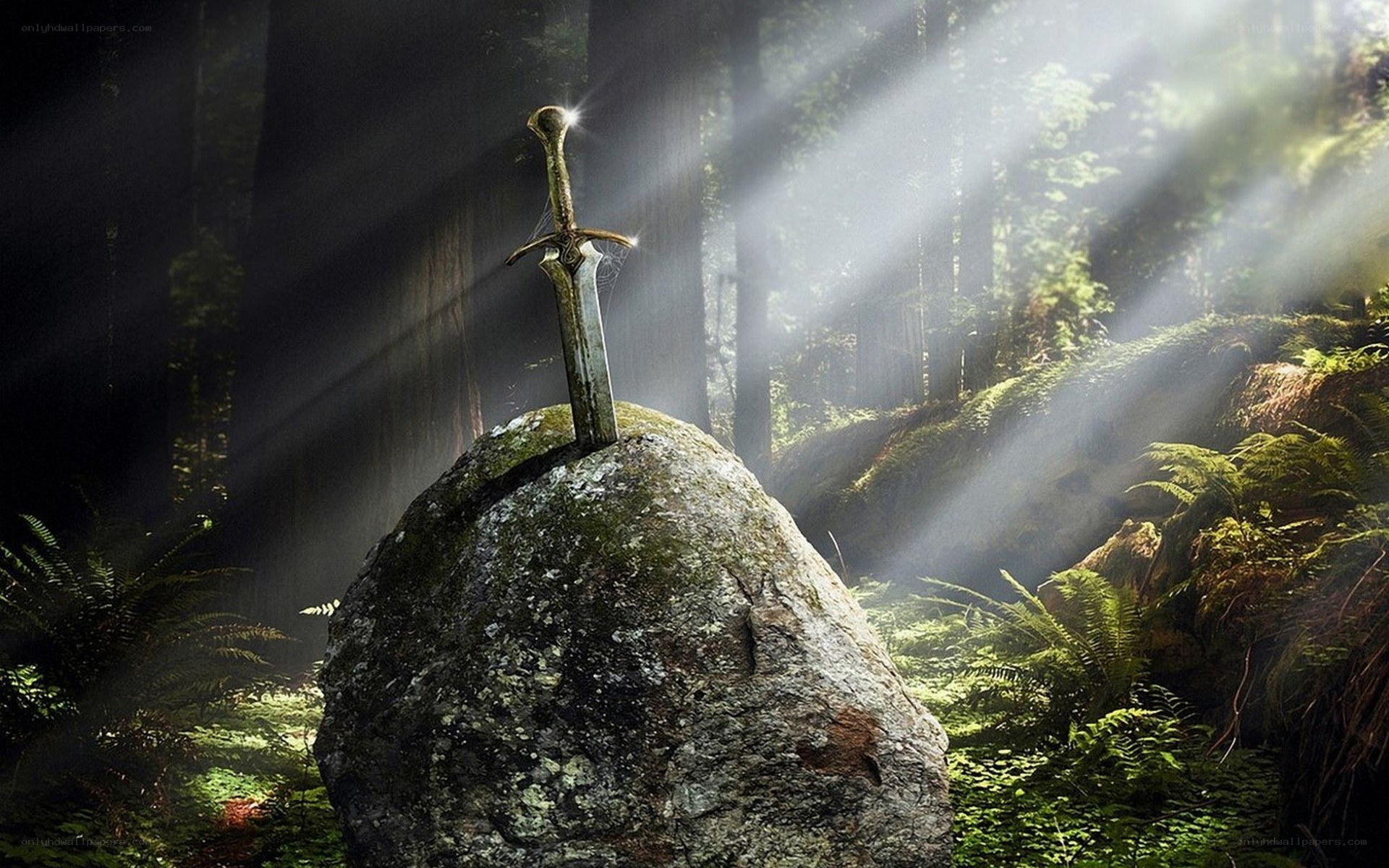 Sword in the stone
