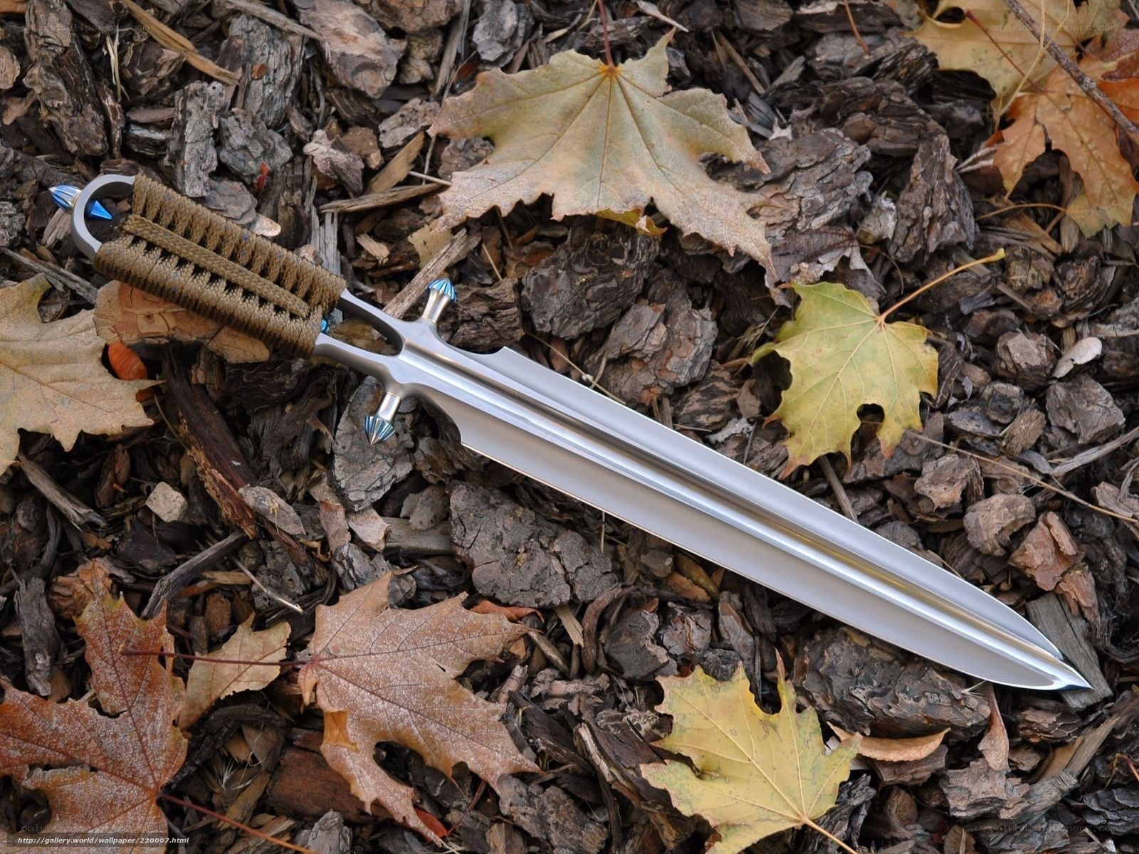 sword on autumn leaves
