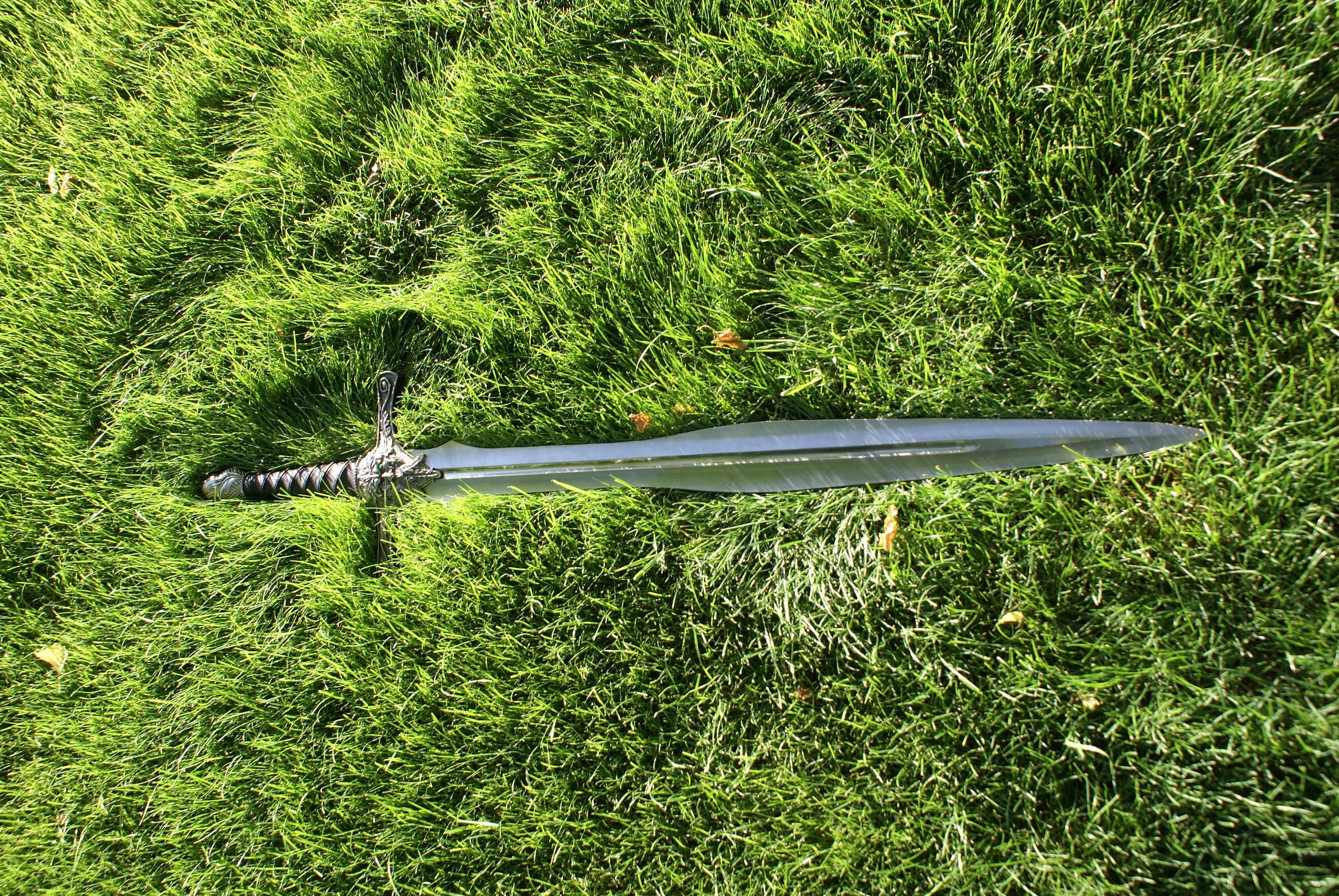 sword on green grass