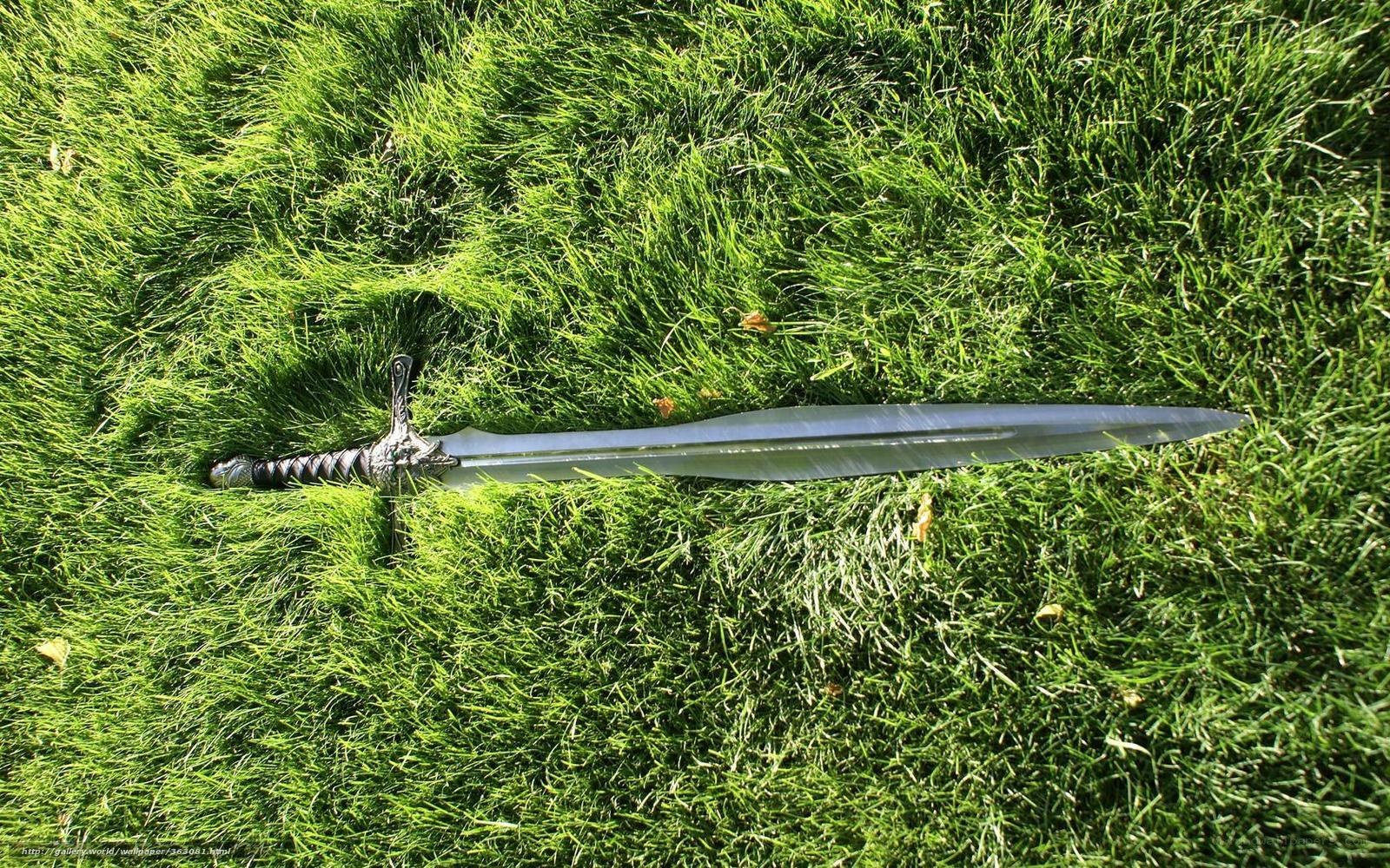 sword on green grass