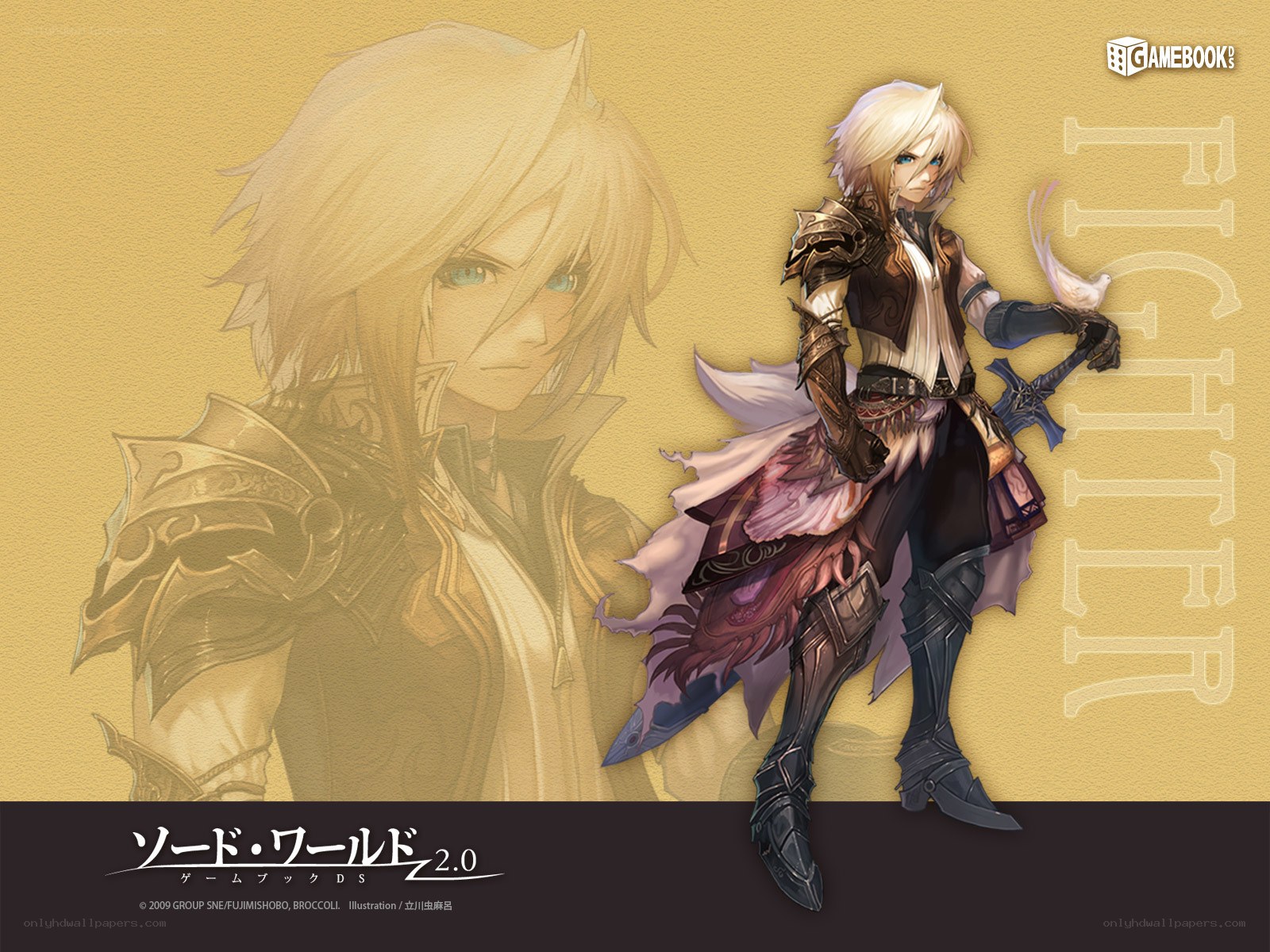 Sword World Fighter