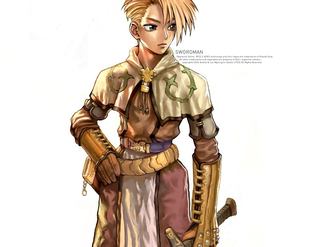 Swordman character art