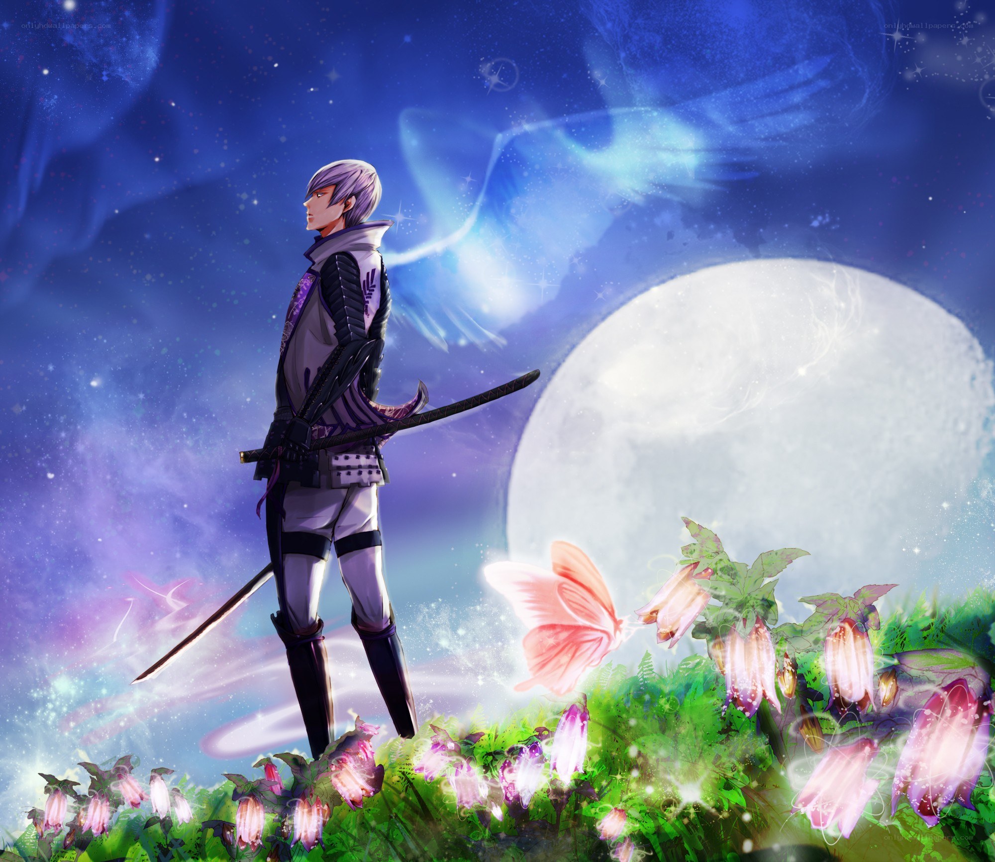 swordsman in a dreamy field
