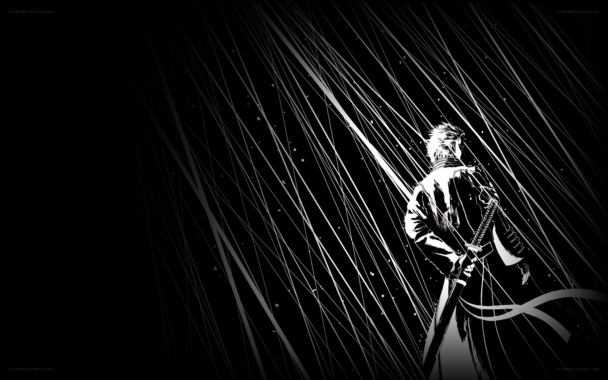 swordsman in the rain