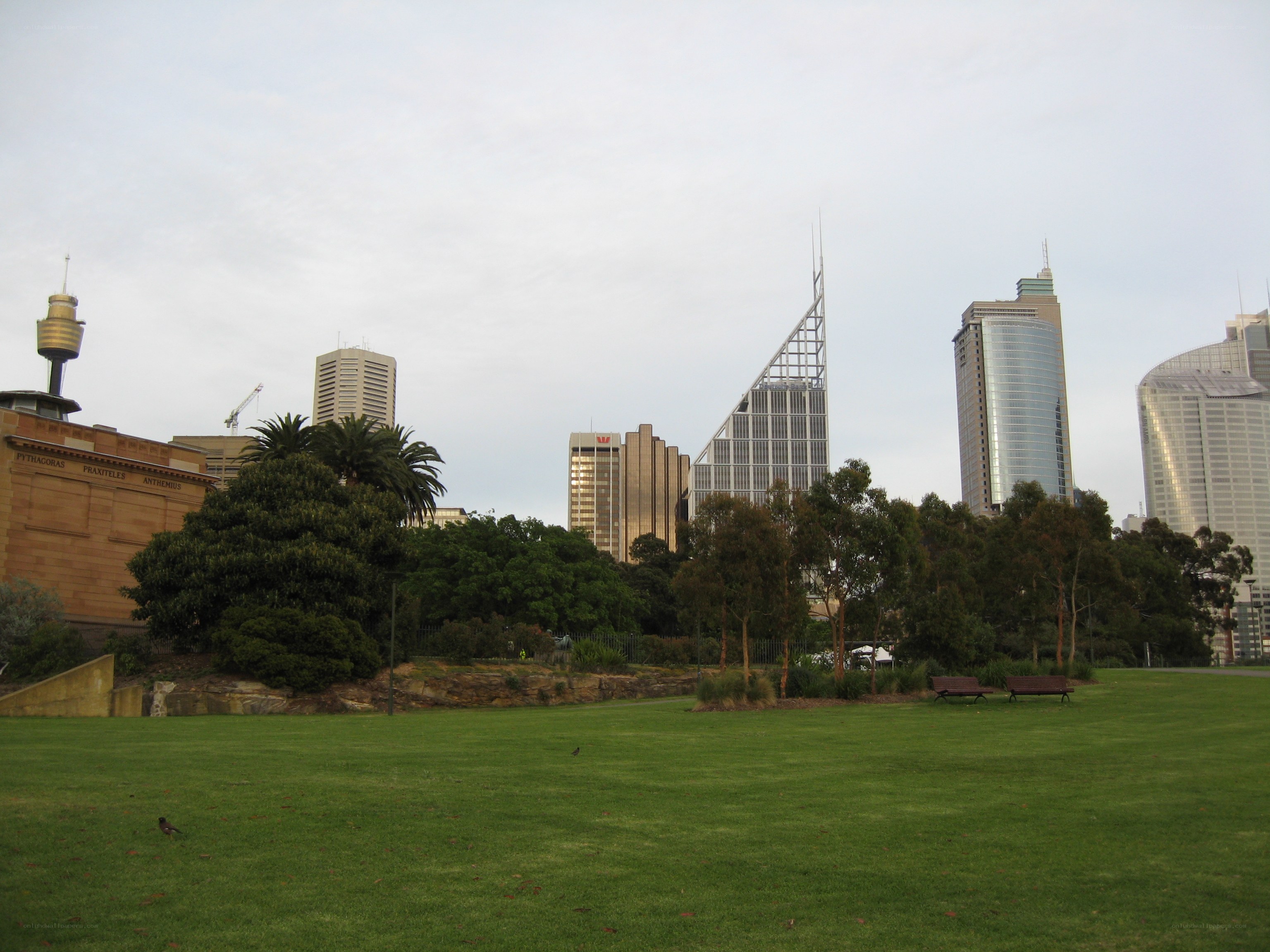 Sydney city skyline from park