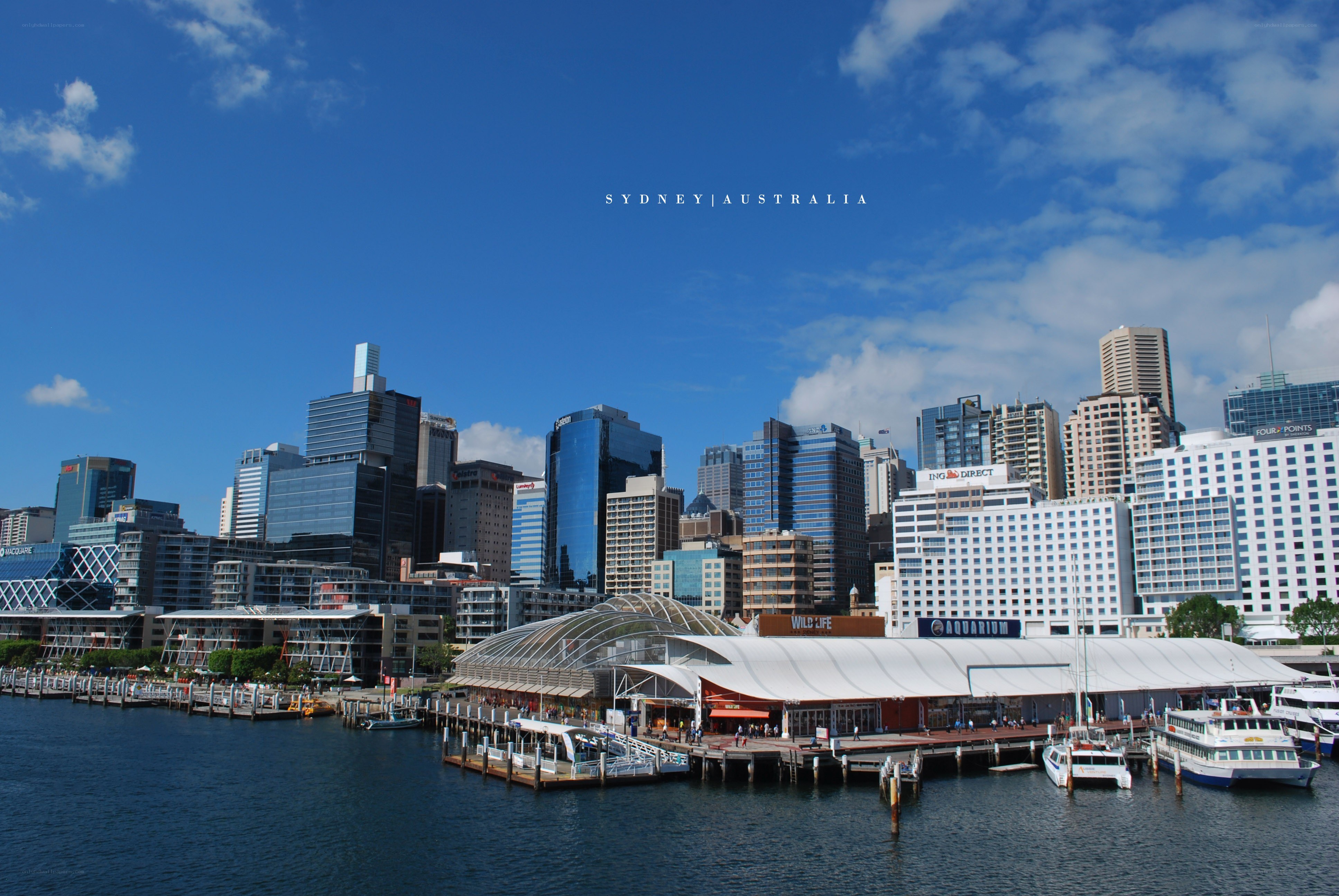 Sydney city skyline