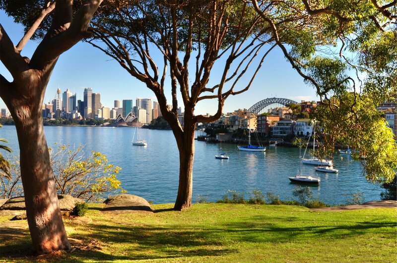 Sydney Harbor View