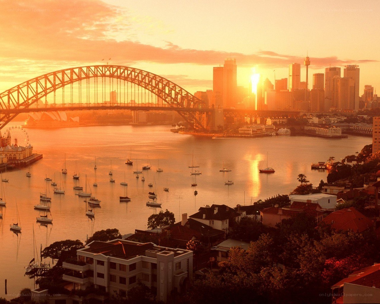 Sydney Harbour at sunset